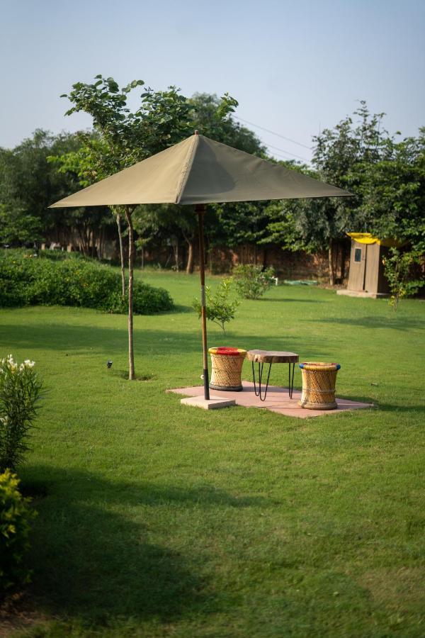 Tree Of Life Ecotainers Agra Hotel Agra  Exterior photo